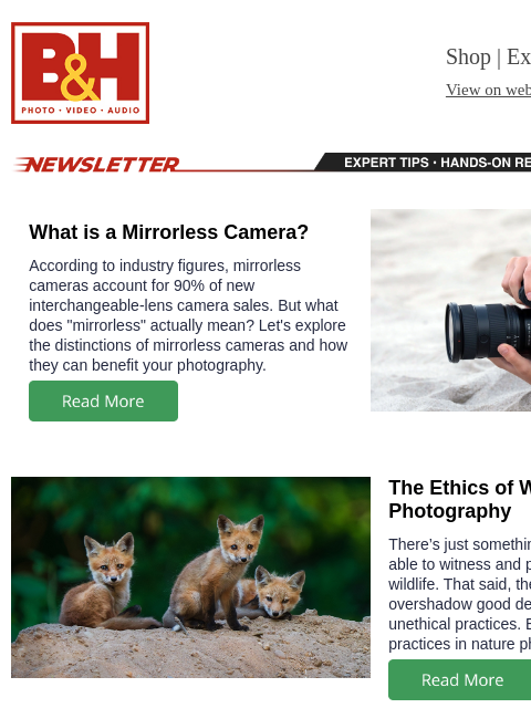 bhphotovideo newsletter: Mirrorless Cameras Defined, Ethics of Wildlife Pho...