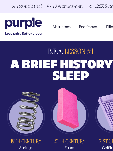 purple newsletter: Do you believe in evolution?