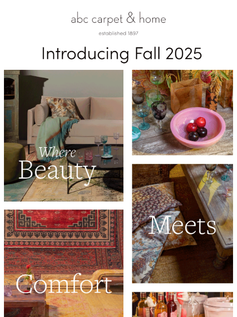 abchome newsletter: It's Here! The Fall 2025 Collection🍂