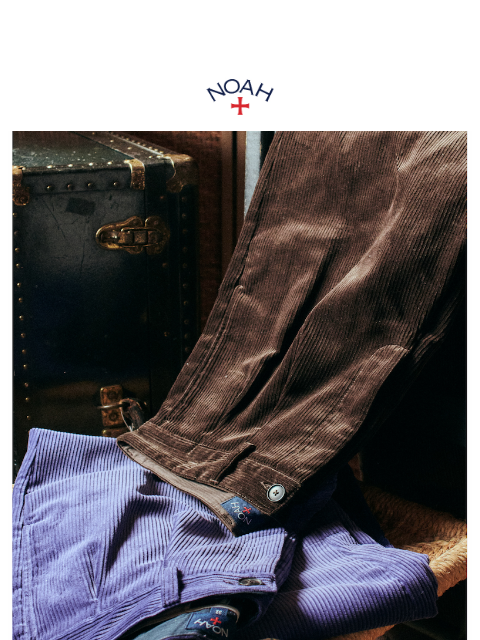 noahny newsletter: The Double-Pleat Corduroy Pant