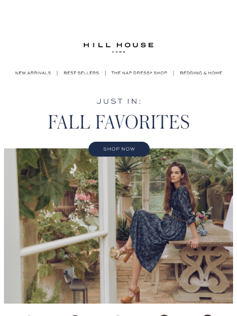 hillhousehome newsletter: FALL FAVORITES 🤎
