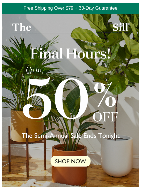 thesill newsletter: Last Chance for Semi-Annual Savings ⏰