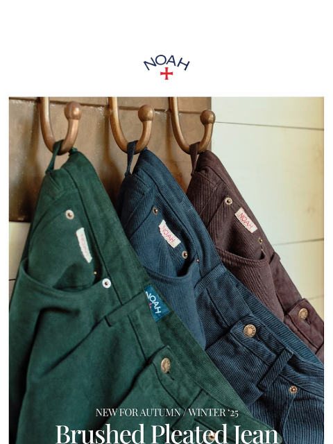 noahny newsletter: Introducing the Brushed Pleated Jean