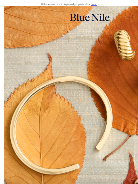 bluenile newsletter: Fall In for 40% Off* Select Jewelry