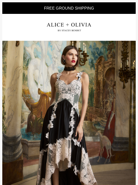 aliceandolivia newsletter: Lace Elegance