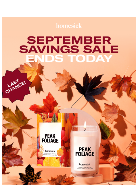 Don't miss our September Savings Sale! ͏ ͏ ͏ ͏ ͏ ͏ ͏ ͏ ͏ ͏ ͏ ͏ ͏ ͏ ͏ ͏ ͏ ͏ ͏ ͏ ͏ ͏ ͏ ͏ ͏ ͏ ͏ ͏ ͏ ͏ ͏ ͏ ͏ ͏ ͏ ͏ ͏ ͏ ͏ ͏ ͏ ͏ ͏ ͏ ͏ ͏ ͏ ͏ ͏ ͏ ͏ ͏ ͏ ͏ ͏ ͏ ͏ ͏ ͏ ͏ ͏ ͏ ͏ ͏ ͏ ͏ ͏ ͏ ͏ ͏ ͏ ͏ ͏ ͏ ͏ ͏ ͏ ͏ ͏