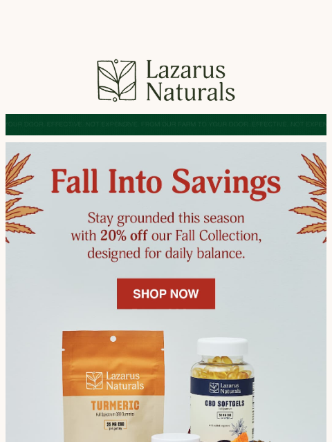 lazarusnaturals newsletter: 🍁Cozy up to 20% off this fall.