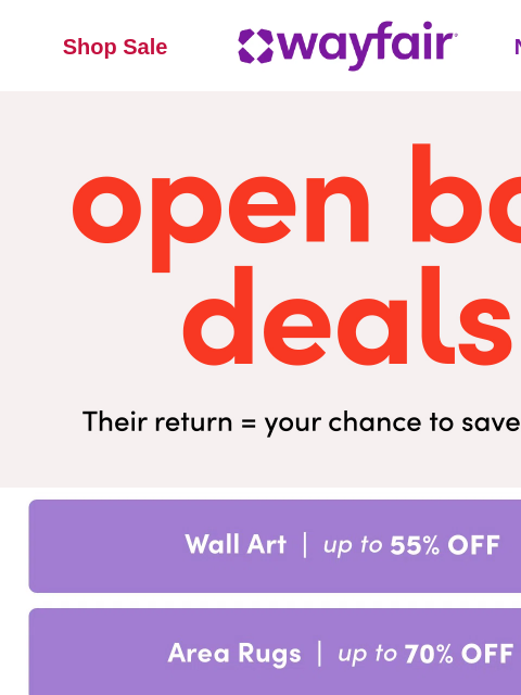 wayfair newsletter: Open Box steals