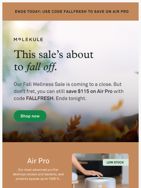 molekule newsletter: Last call: A few hours left to save ⌛