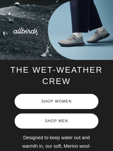 allbirds newsletter: A Reason To Love Rain