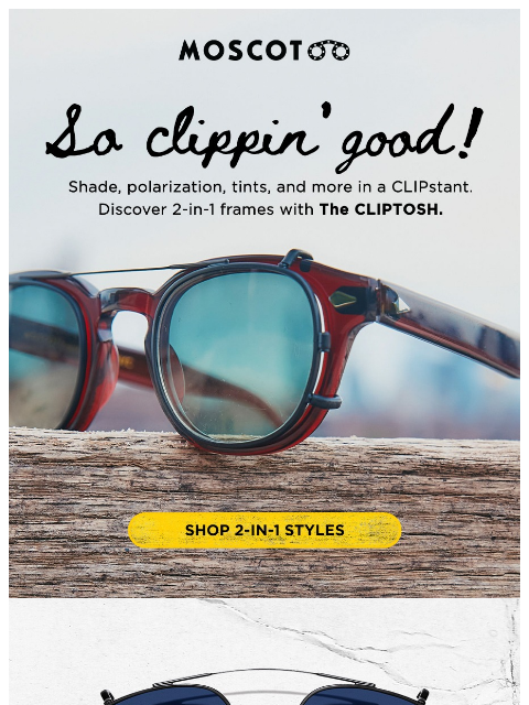 moscot newsletter: Your Frame’s Best Friend!