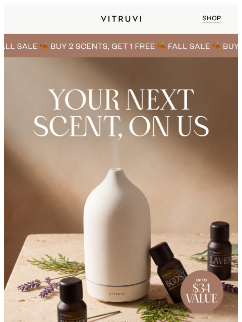 vitruvi newsletter: FREE Scent With Your Next Stone Diffuser 🌿