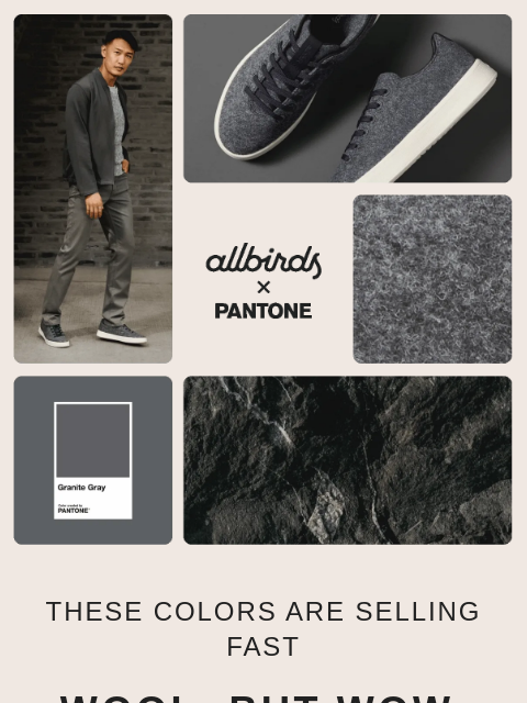 allbirds newsletter: Pantone Colors, Flying Off the Shelves