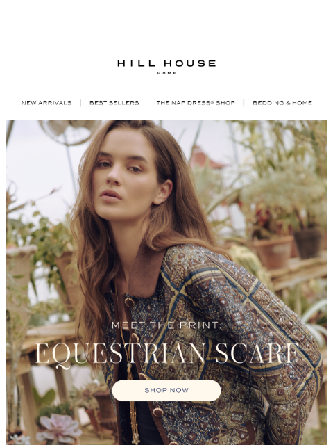 hillhousehome newsletter: The Equestrian Capsule 🤎