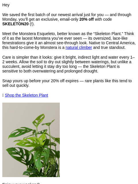 thesill newsletter: First dibs on the Skeleton Plant (+ email-only 20%...