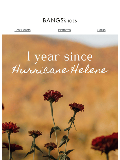 bangsshoes newsletter: One Year Later: Hurricane Helene π§‘