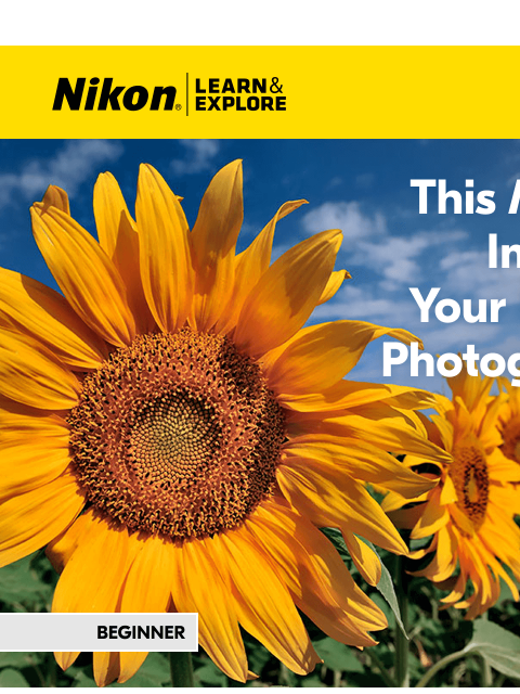 nikon newsletter: LEARN flower photography