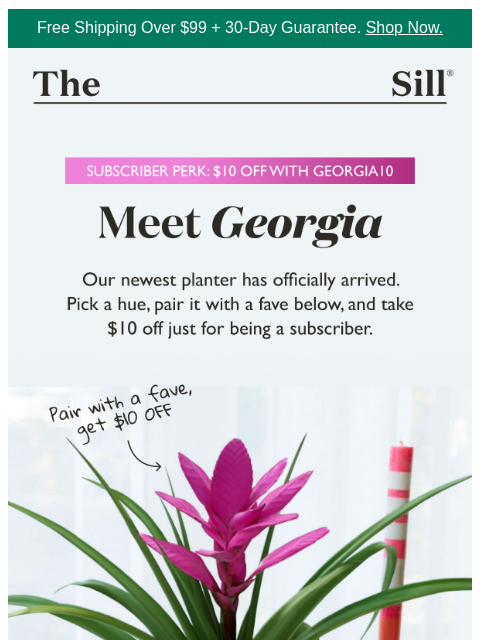 thesill newsletter: 👋, get $10 off our new planter