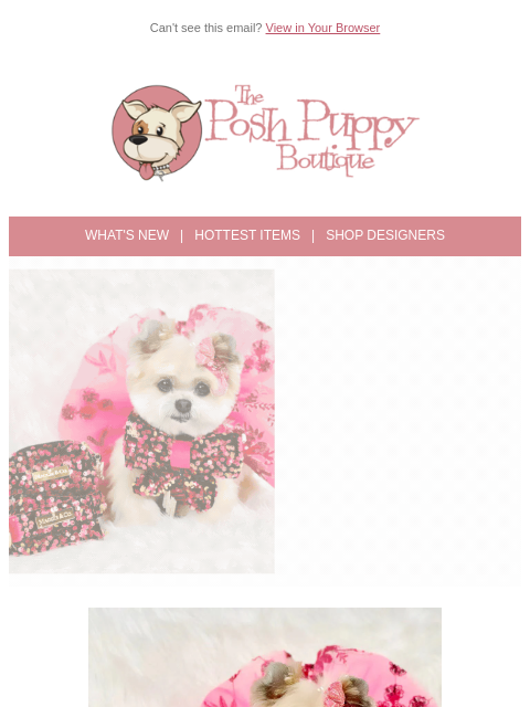 Shop the latest arrivals at Posh Puppy ͏ ͏ ͏ ͏ ͏ ͏ ͏ ͏ ͏ ͏ ͏ ͏ ͏ ͏ ͏ ͏ ͏ ͏ ͏ ͏ ͏ ͏ ͏ ͏ ͏ ͏ ͏ ͏ ͏ ͏ ͏ ͏ ͏ ͏ ͏ ͏ ͏ ͏ ͏ ͏ ͏ ͏ ͏ ͏ ͏ ͏ ͏ ͏ ͏ ͏ ͏ ͏ ͏ ͏ ͏ ͏ ͏ ͏ ͏ ͏ ͏ ͏ ͏ ͏ ͏ ͏ ͏ ͏ ͏ ͏ ͏ ͏ ͏ ͏ ͏ ͏ ͏ ͏ ͏ ͏ ͏