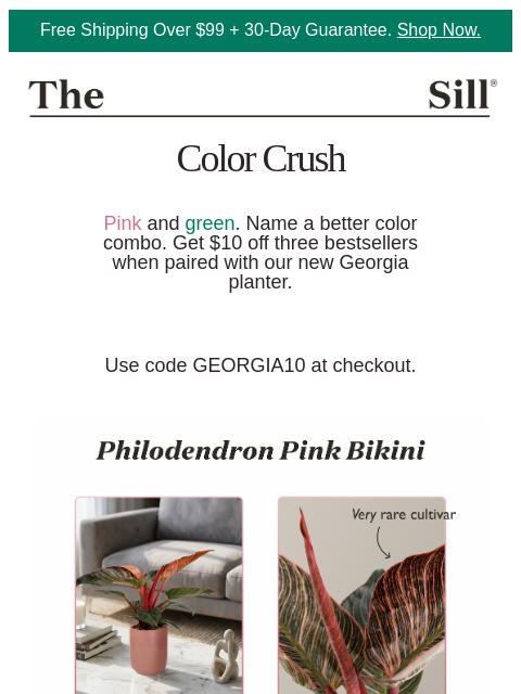 thesill newsletter: 🩷 Save on pink plants 🩷