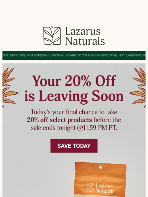 lazarusnaturals newsletter: ⏳ Hours Left: 20% Off Fall Collection 🍂