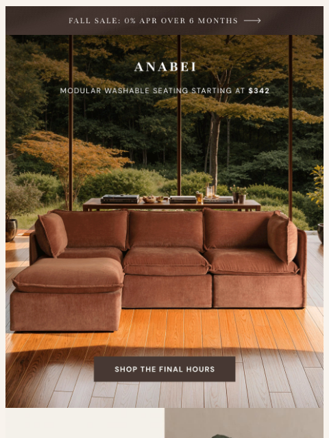 anabei newsletter: 🍁 LAST CALL 🍁