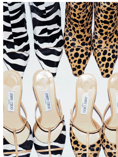 jimmychoo newsletter: Introducing Jimmy Choo / Conner Ives