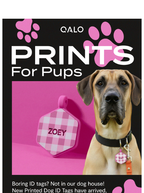 qalo newsletter: NEW: Printed Dog ID Tags