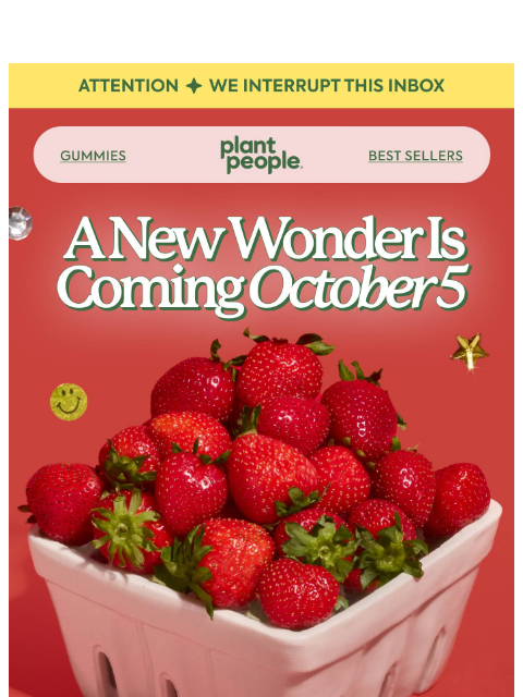 plantpeople newsletter: Coming up next: something new 🍓