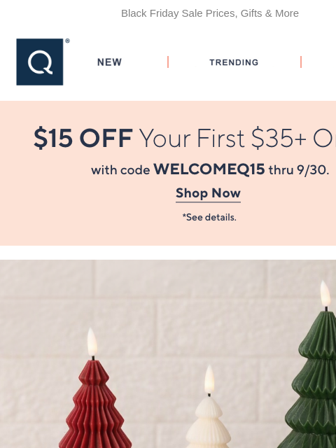qvcemail newsletter: A First Look at Holiday 2026