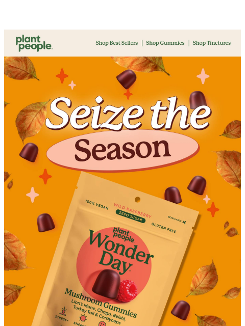 plantpeople newsletter: Hello, Harvest Season 🍁