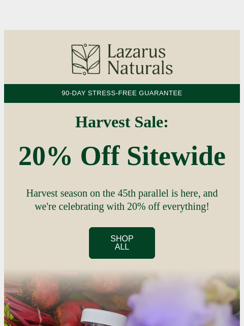 lazarusnaturals newsletter: 🌾 Harvest Savings: 20% Off Everything