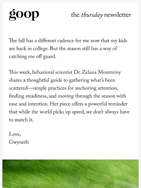 goop newsletter: the Thursday newsletter