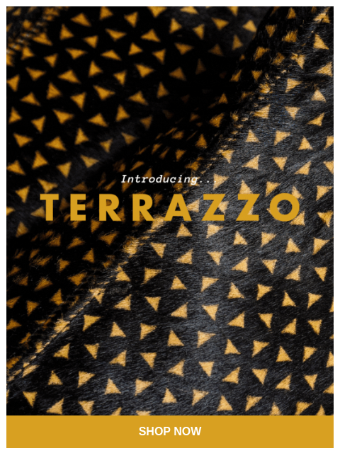 sabah newsletter: Introducing: Terrazzo  ✨