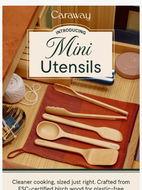 carawayhome newsletter: Meet NEW Mini Utensils