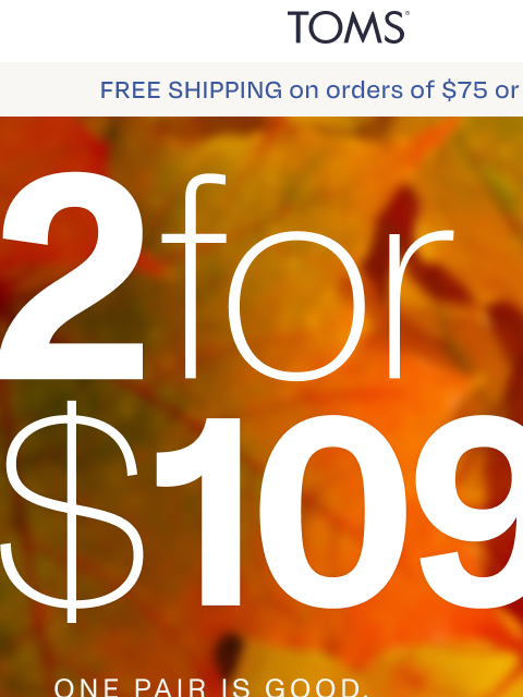 toms newsletter: Comfort (and Savings) Looks Good on You