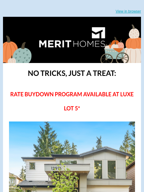merithomesinc newsletter: ACT NOW: Rate Buydown Available at Luxe Lot 5!