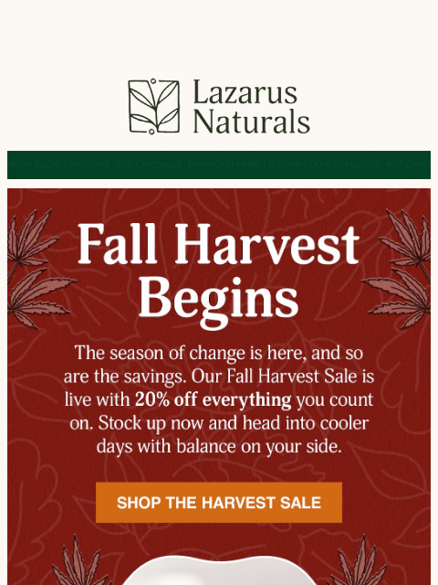lazarusnaturals newsletter: 🌾 Harvest Savings Begin: 20% Off Everything