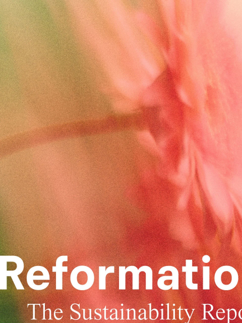 thereformation newsletter: THE SUSTAINABILITY REPORT