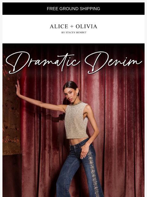 aliceandolivia newsletter: Denim Drama