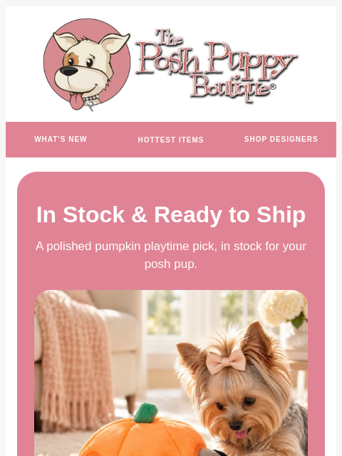 poshpuppyboutique newsletter: IN STOCK & READY TO SHIP ✈️
