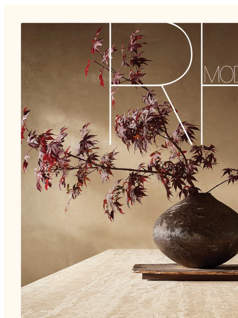 rh newsletter: The RH Modern Sourcebook. Refined Design & Unrival...