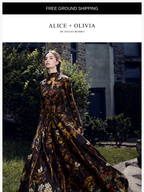 aliceandolivia newsletter: Fall Is a Fairytale...🌹🦋