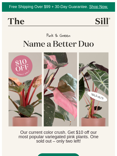 thesill newsletter: 💞 name a better duo 💞
