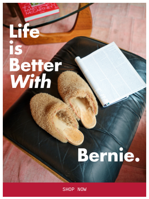 sabah newsletter: BERNIE IS BACK 🔥 JUST 374 PAIRS ⌛