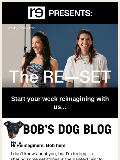 re-website newsletter: Bob's Dog Blog: The Life of a Showpup 🧡