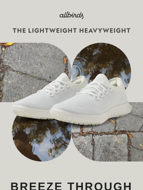 allbirds newsletter: On The Run? Grab These