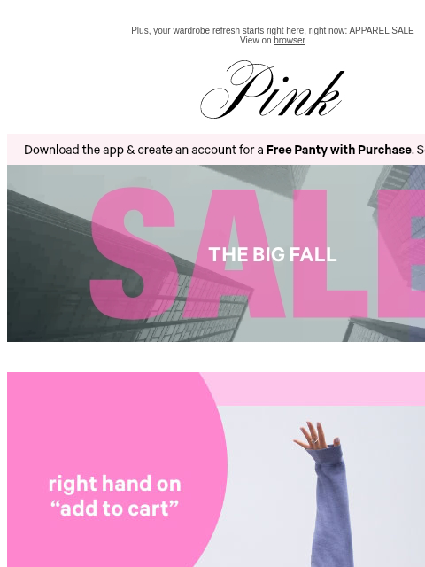 vspink newsletter: Came for 1 Panty, Left With 10/$40