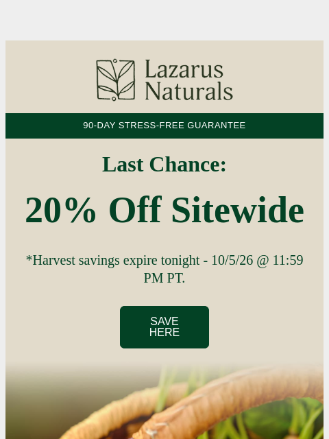 lazarusnaturals newsletter: 🥕 Ends tonight: 20% off Sitewide