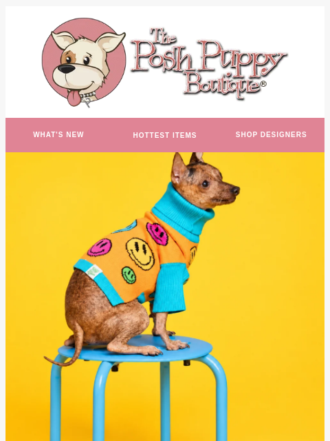 poshpuppyboutique newsletter: Match Your Pup in Style